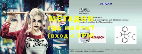 прущие грибы Аркадак