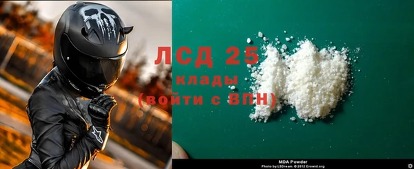 прущие грибы Аркадак