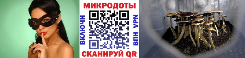 Галлюциногенные грибы GOLDEN TEACHER  Купить  Медвежьегорск 
